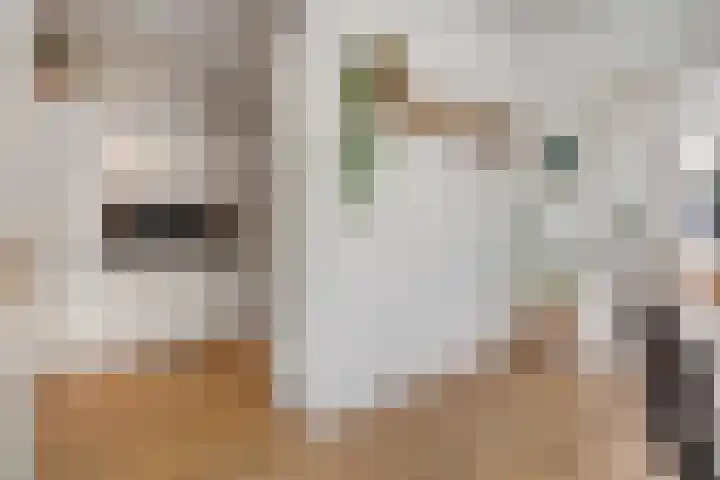 Markt 8 Dedemsvaart thumbnail 11
