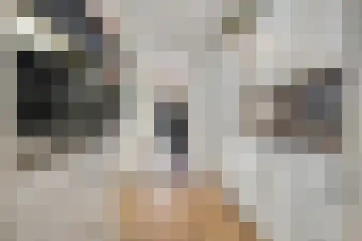 Markt 8 Dedemsvaart thumbnail 22