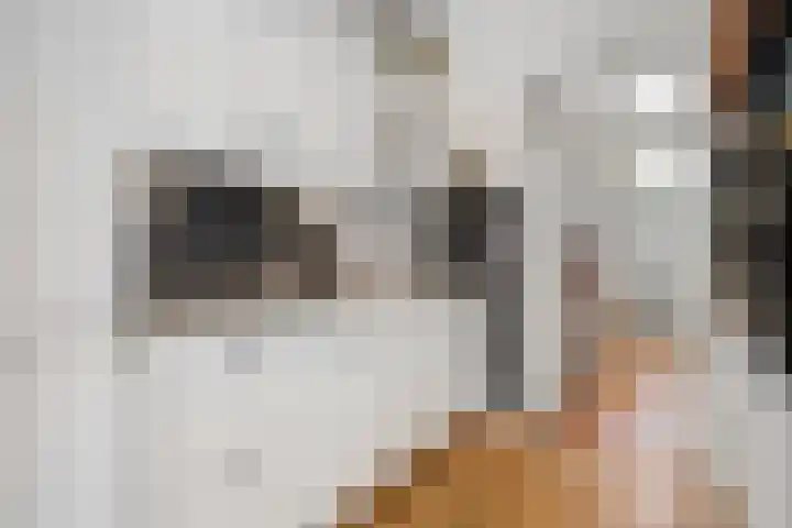 Markt 8 Dedemsvaart thumbnail 23