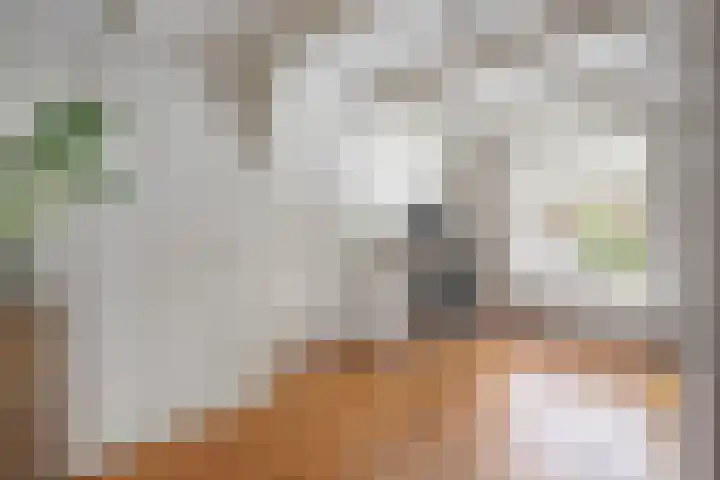Markt 8 Dedemsvaart thumbnail 30