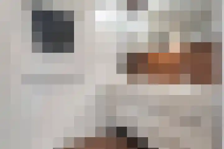 Markt 8 Dedemsvaart thumbnail 33