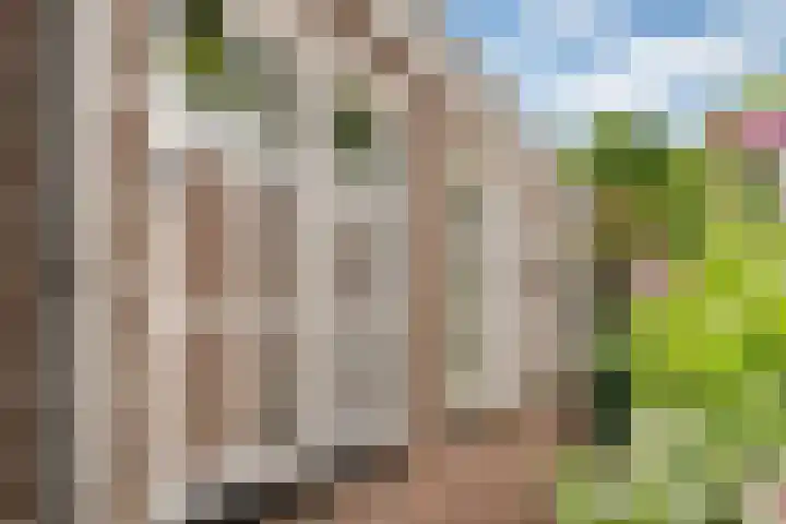 Markt 8 Dedemsvaart thumbnail 37