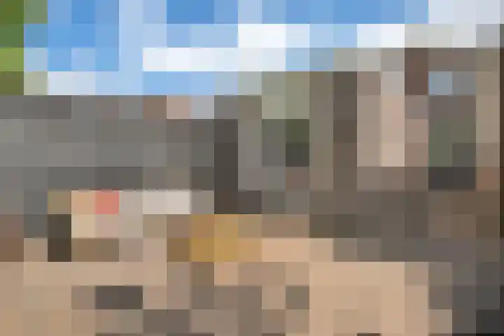 Markt 8 Dedemsvaart thumbnail 40