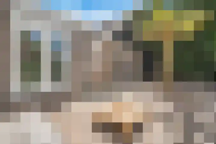 Markt 8 Dedemsvaart thumbnail 41