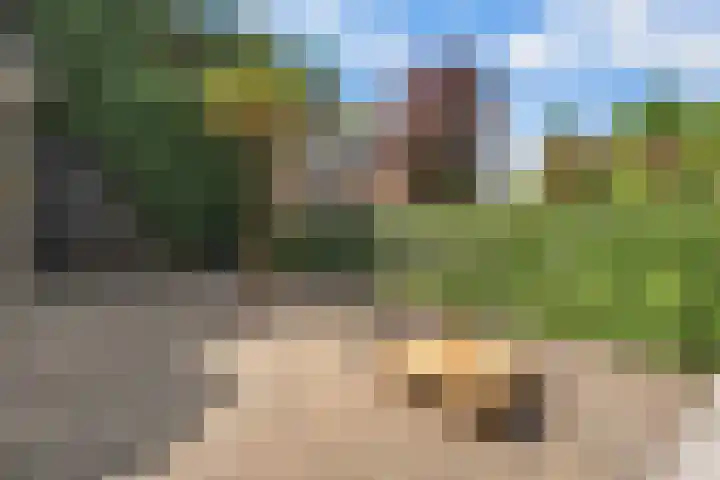 Markt 8 Dedemsvaart thumbnail 42