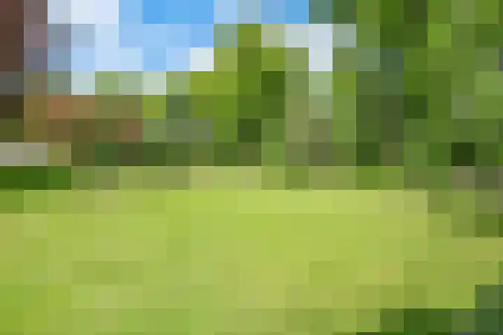 Markt 8 Dedemsvaart thumbnail 43