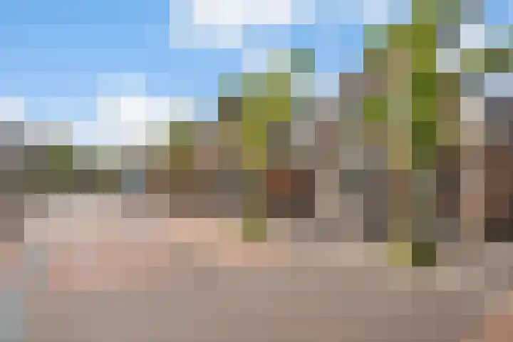 Markt 8 Dedemsvaart thumbnail 44