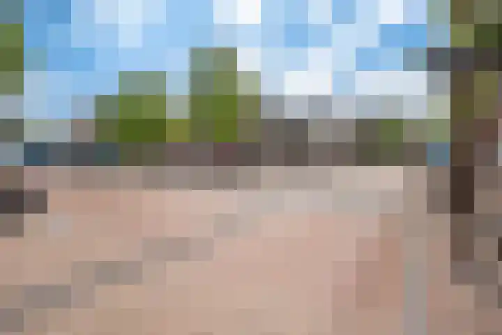 Markt 8 Dedemsvaart thumbnail 45
