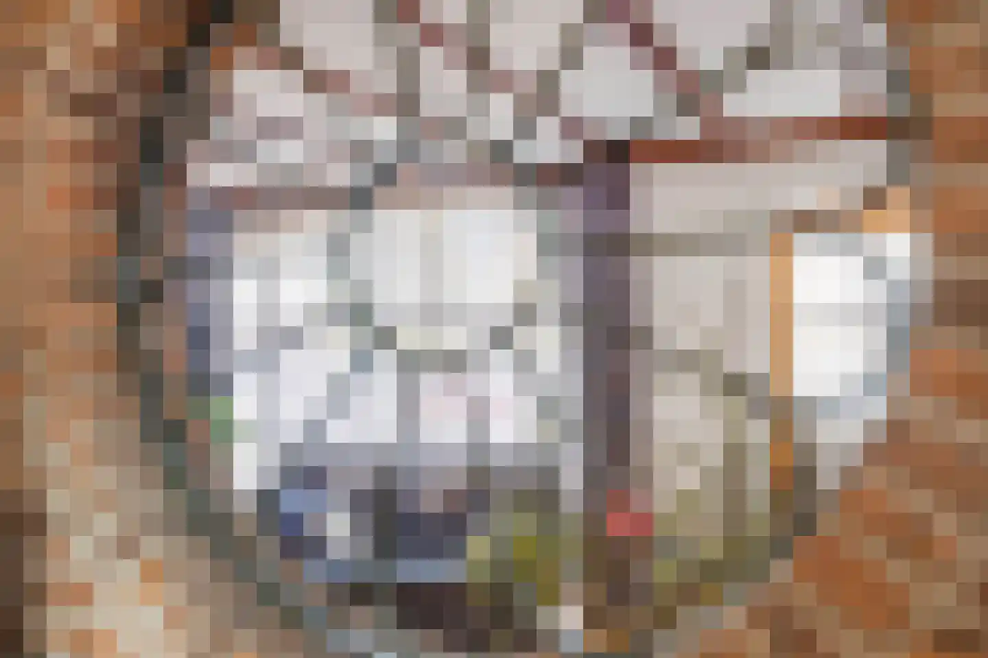 Markt 8 Nieuwstadt thumbnail 13