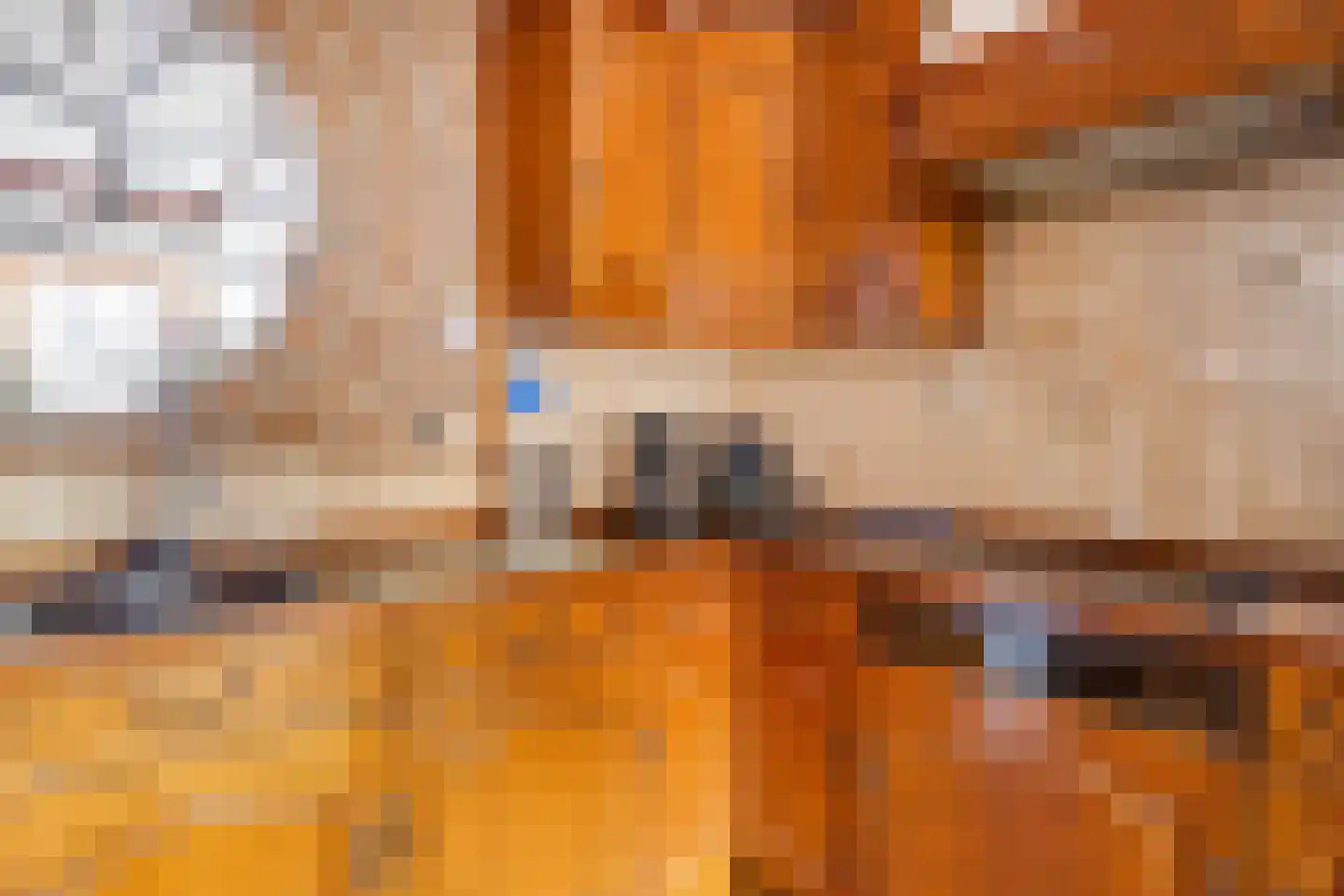 Markt 8 Nieuwstadt thumbnail 15