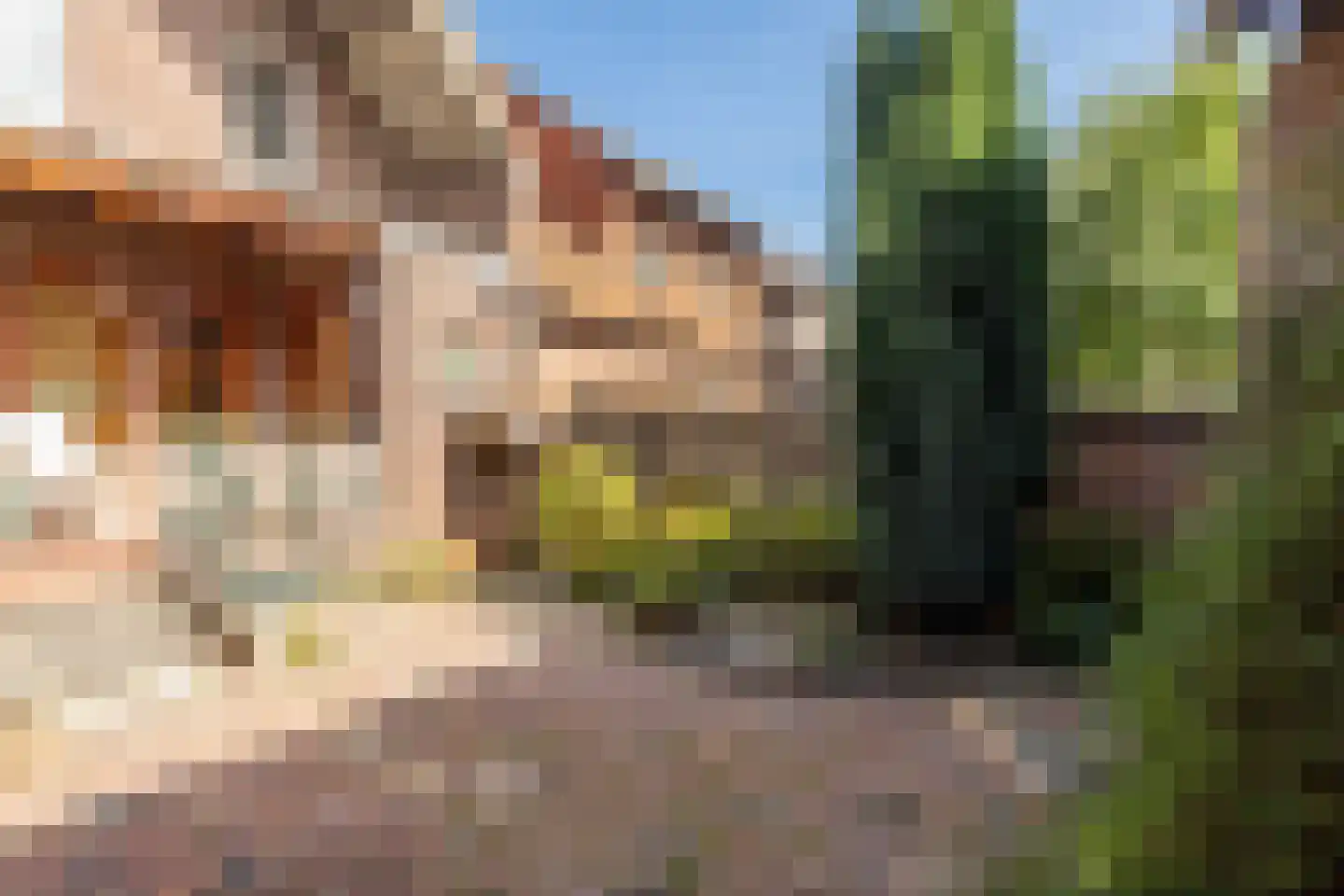 Markt 8 Nieuwstadt thumbnail 31