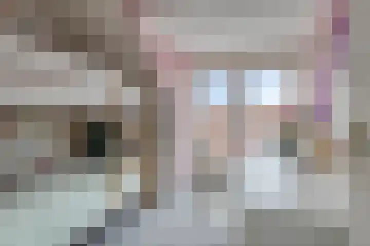 Markt 8 Oosterland thumbnail 25