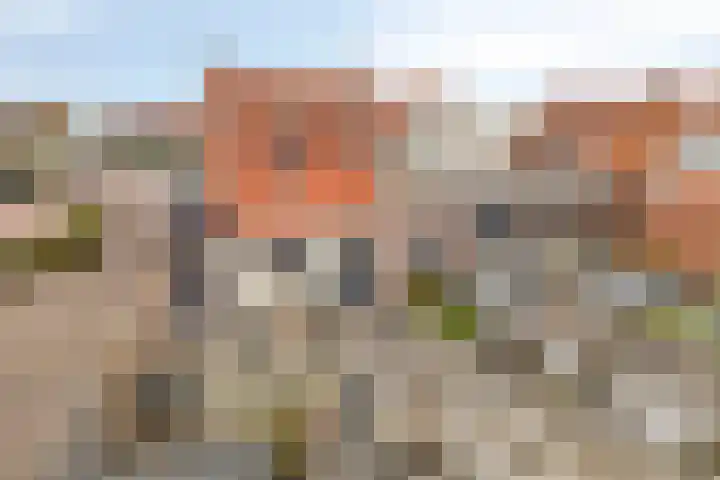 Markt 8 Oosterland thumbnail 33