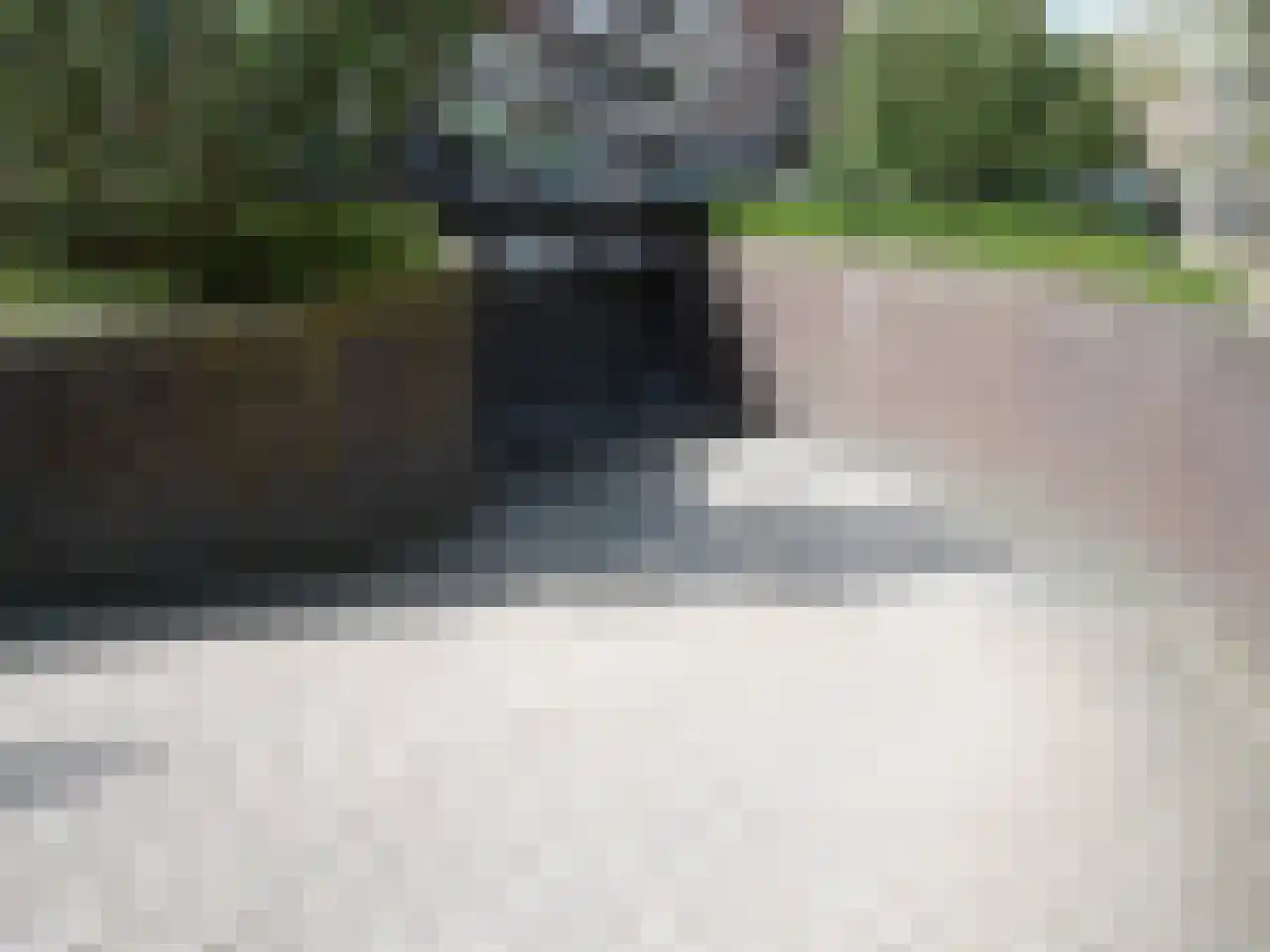 Markt 8 Rosmalen thumbnail 4