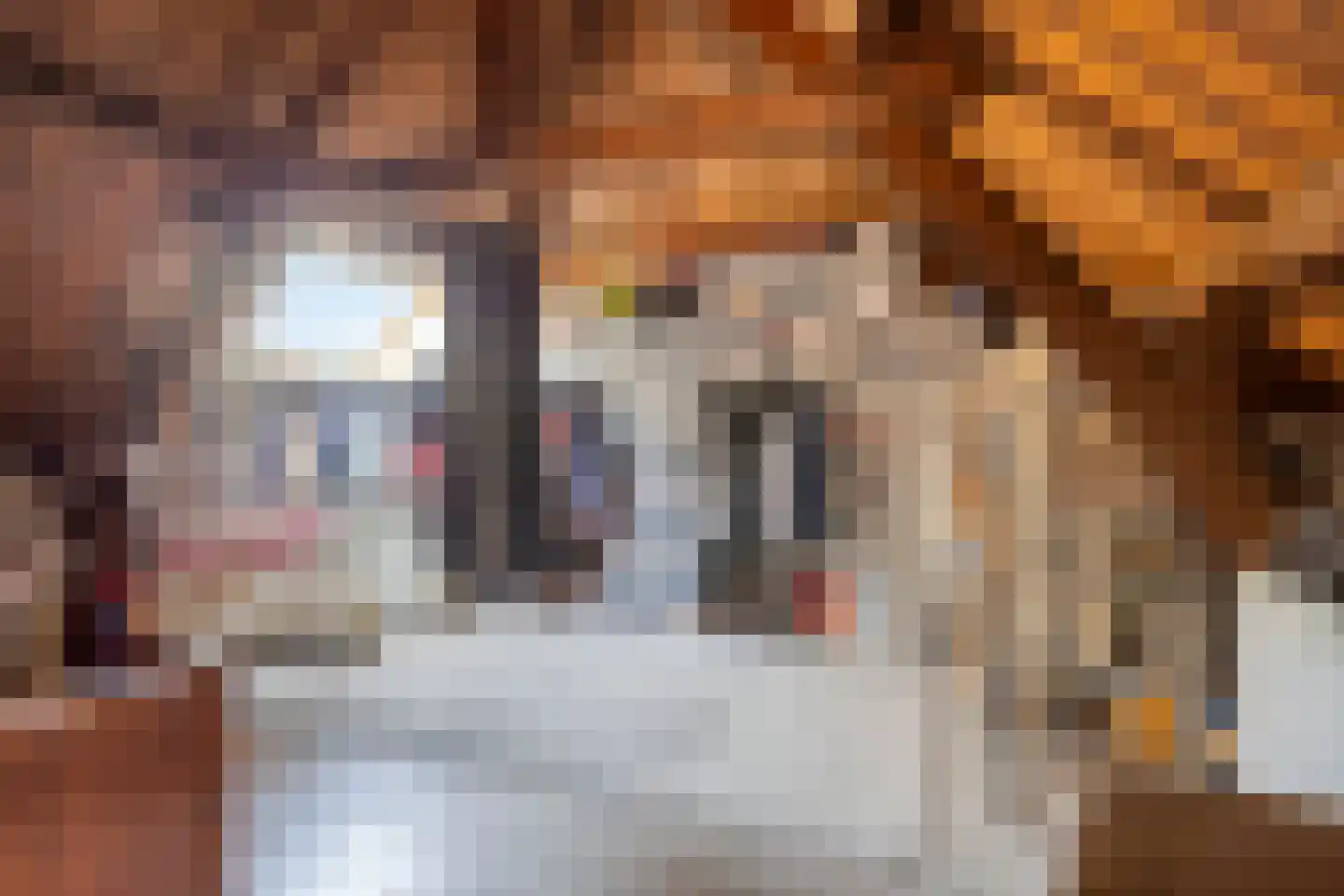 Markt 8 Steenbergen thumbnail 48