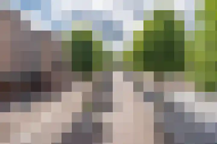 Markt 89 Uden thumbnail 5