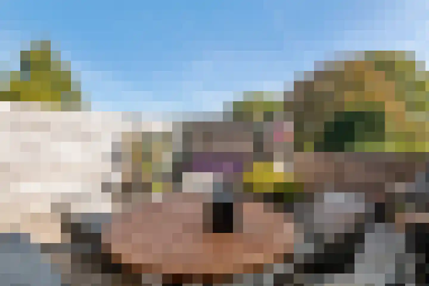 Markt 9 14 Druten thumbnail 4