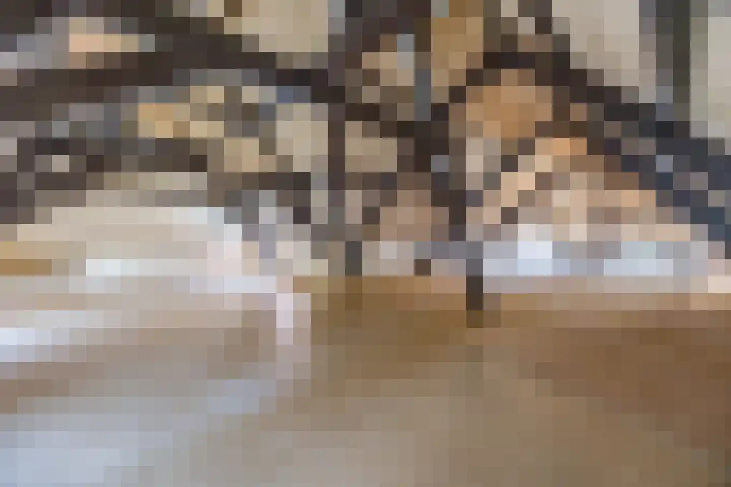 Markt 9 Geertruidenberg thumbnail 60