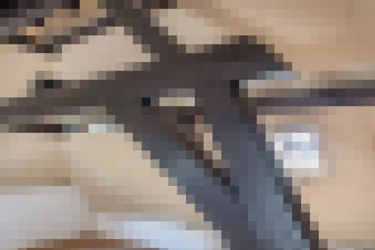 Markt 9 Geertruidenberg thumbnail 69
