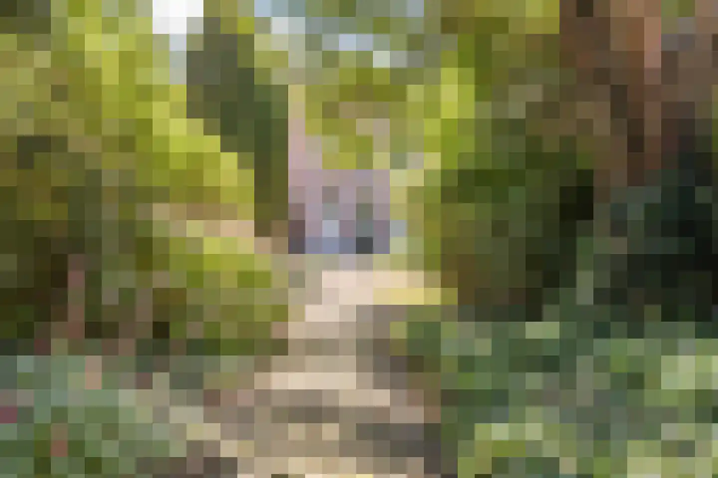 Markt 9 Geertruidenberg thumbnail 72