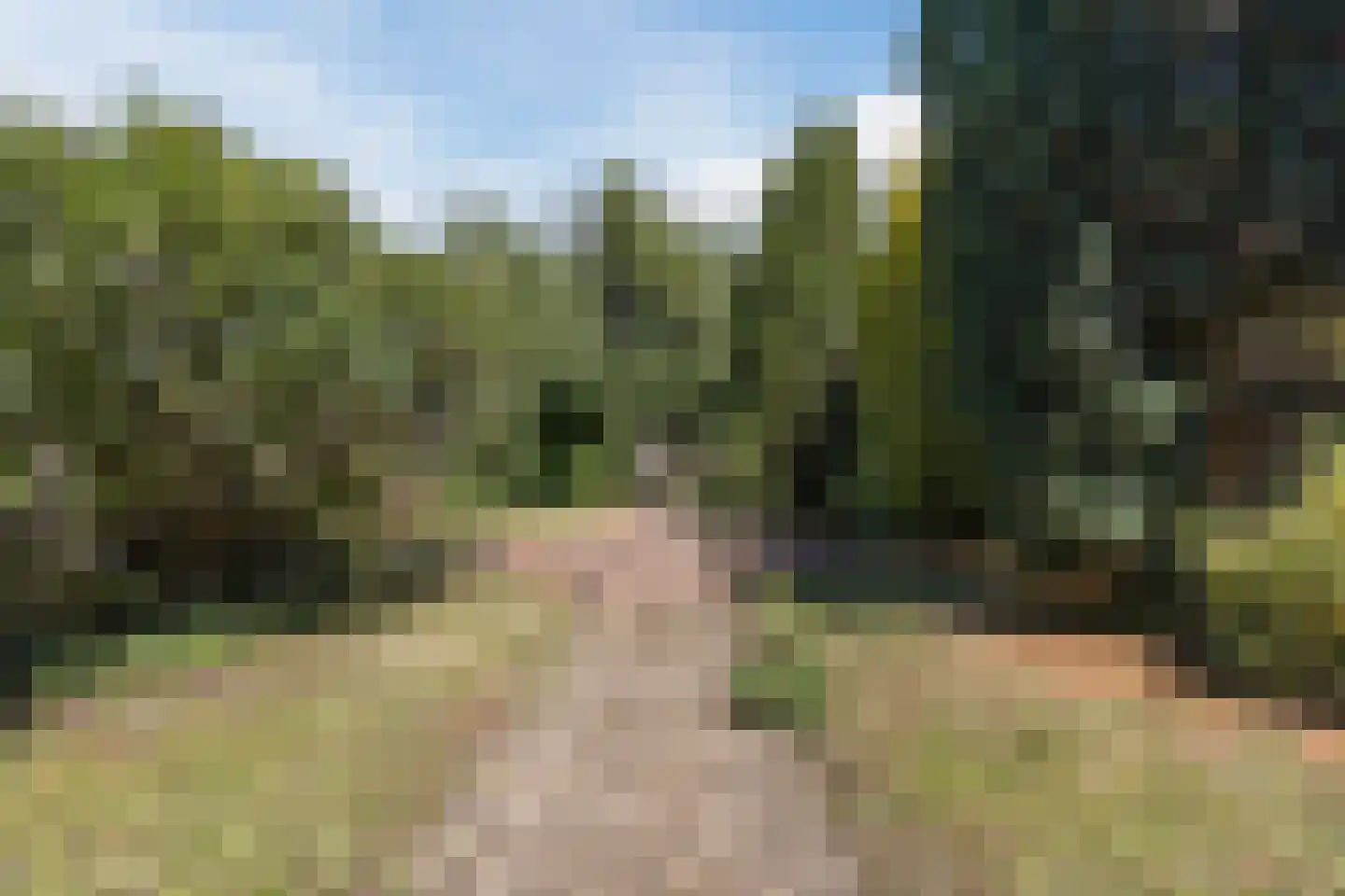 Markt 9 Geertruidenberg thumbnail 73