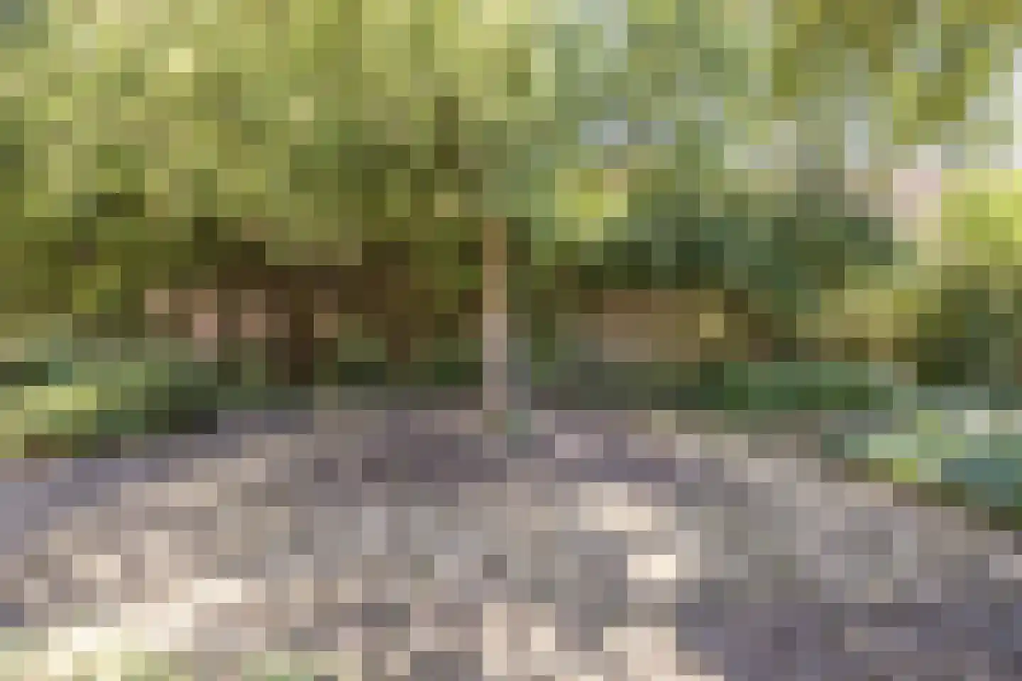 Markt 9 Geertruidenberg thumbnail 74