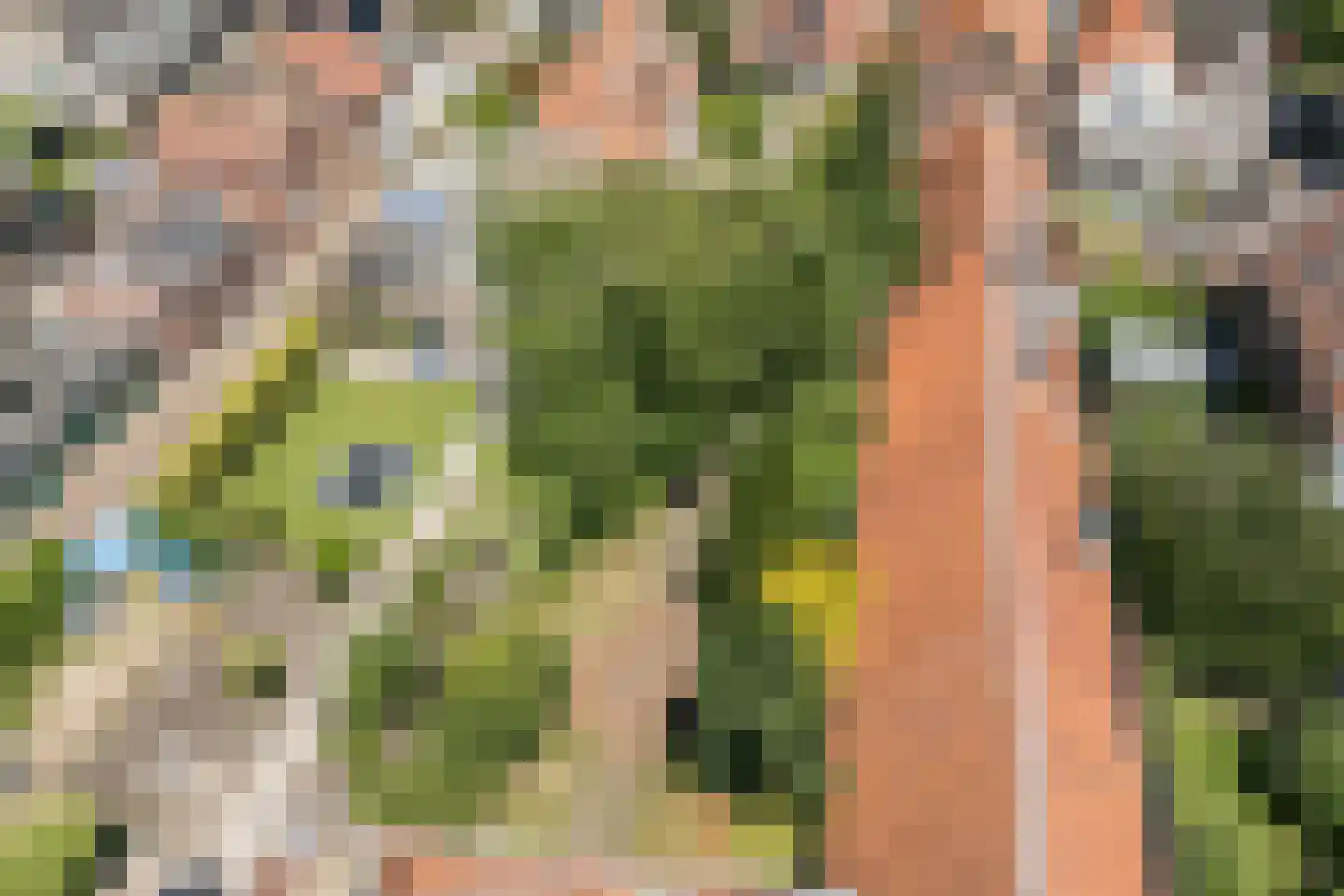Markt 9 Geertruidenberg thumbnail 77