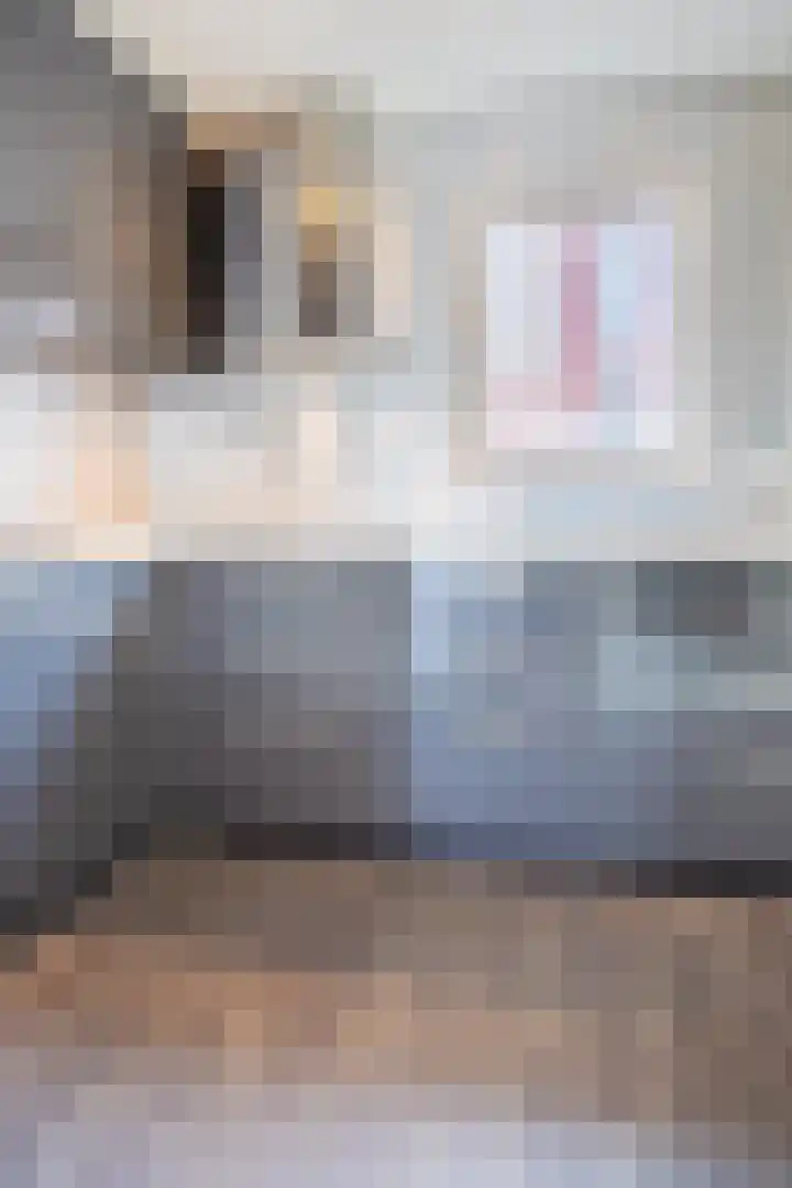 Markt 9 Lichtenvoorde thumbnail 19