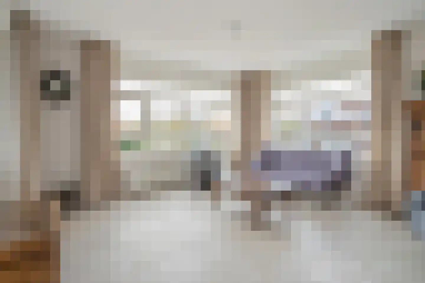 Markt 9 Nootdorp thumbnail 13