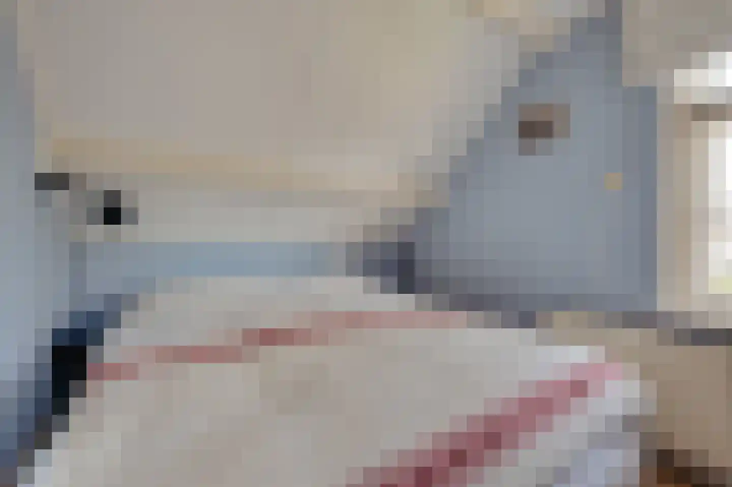 Markt 9 Retranchement thumbnail 17