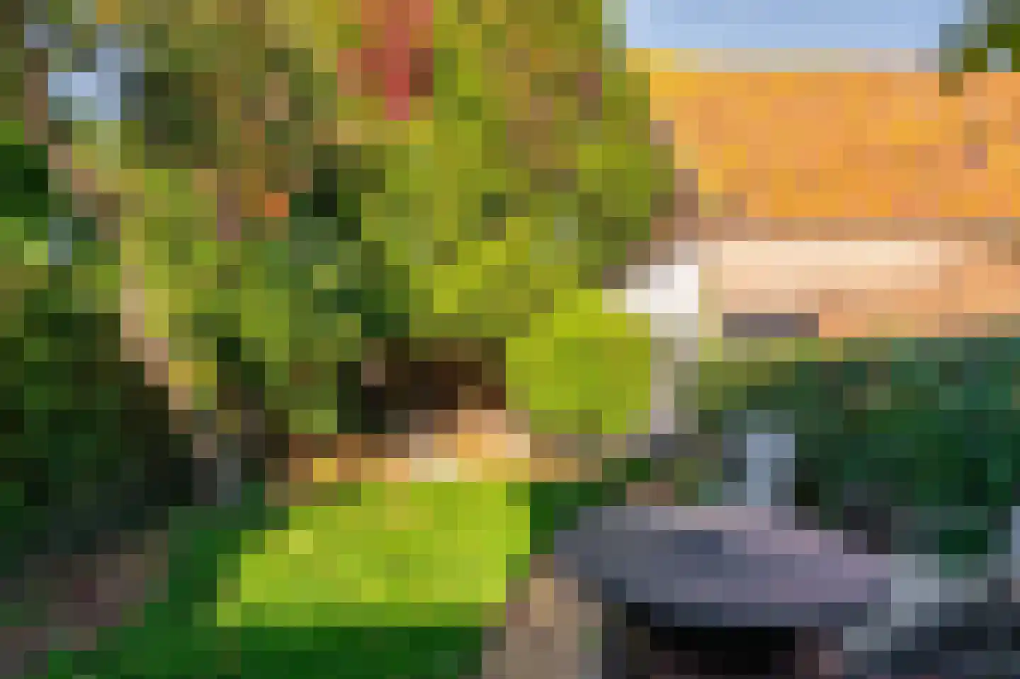 Markt 9 Retranchement thumbnail 24