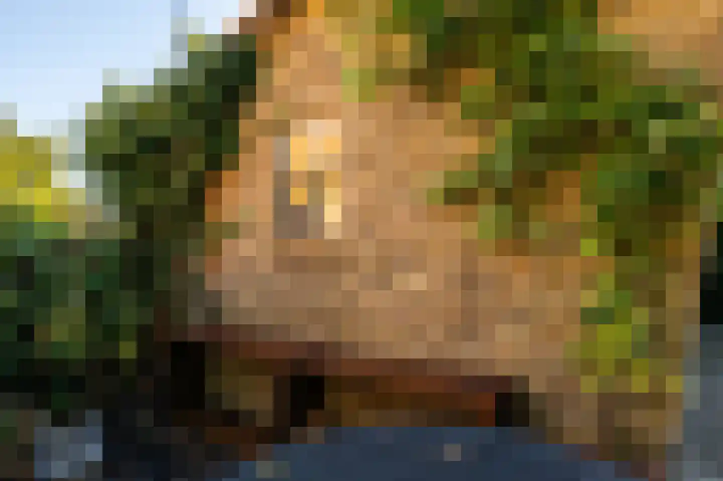 Markt 9 Retranchement thumbnail 25