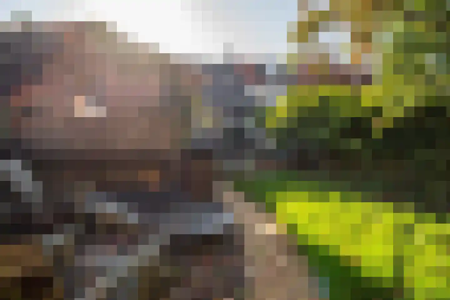 Markt 9 Retranchement thumbnail 26