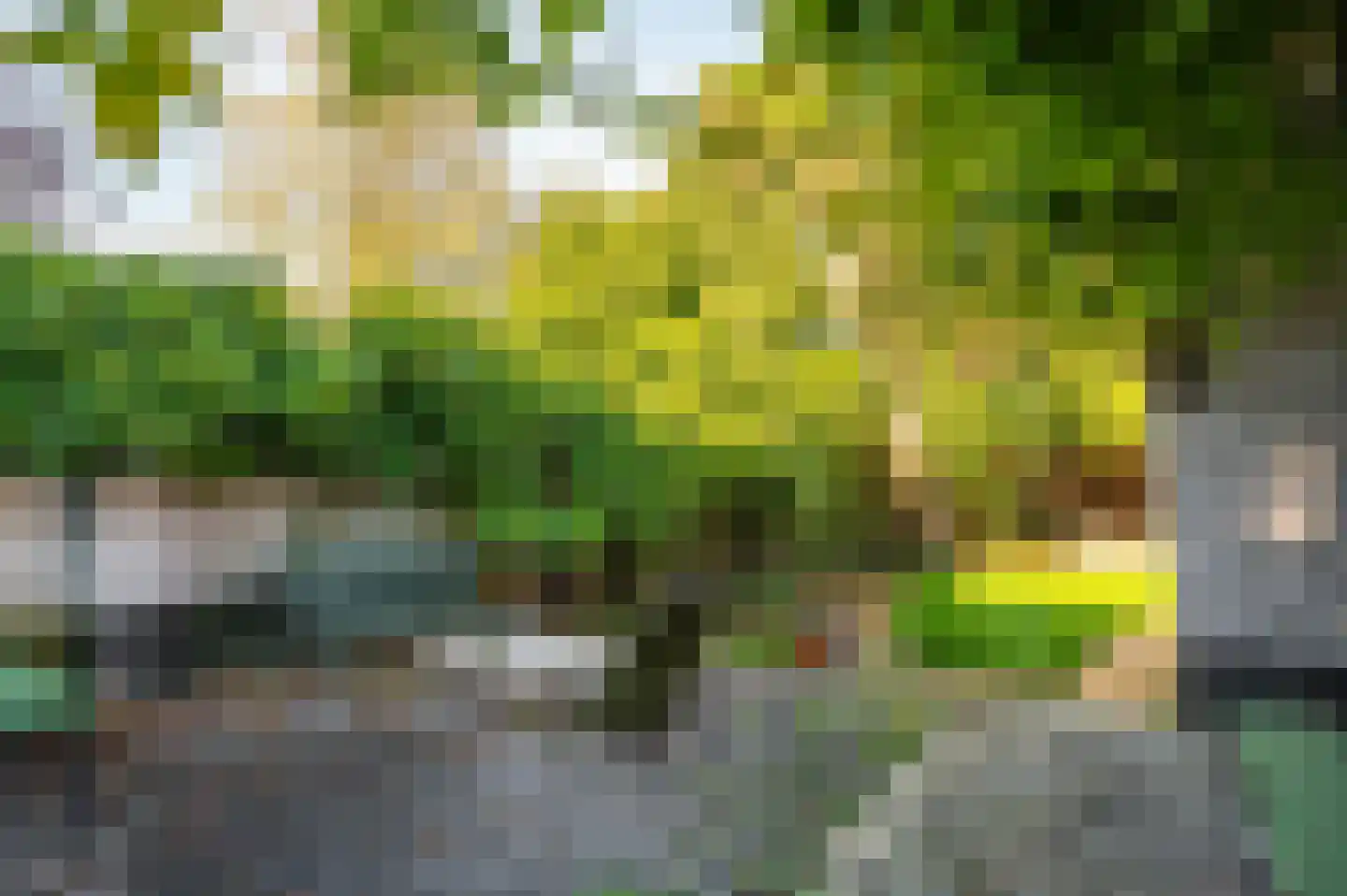Markt 9 Retranchement thumbnail 27