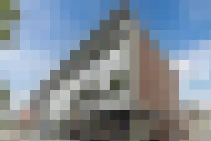 Markt 9 Schijndel thumbnail 52