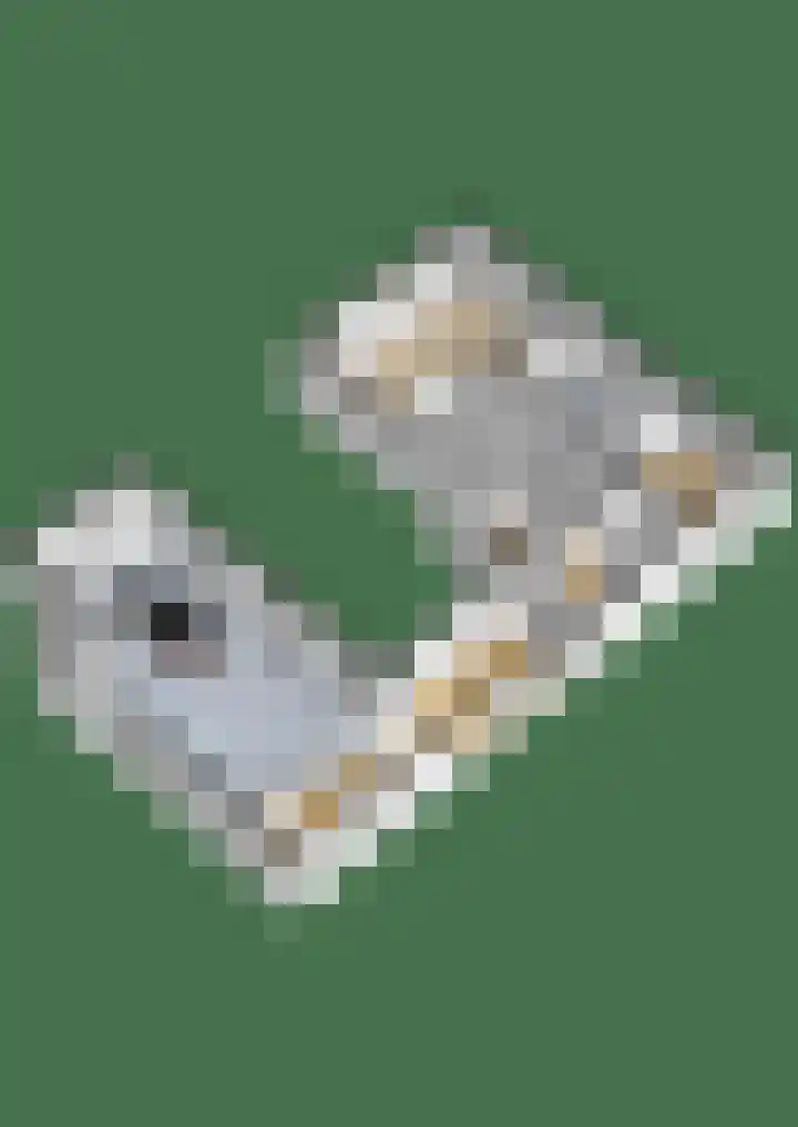 Markt 9 Swalmen thumbnail 47