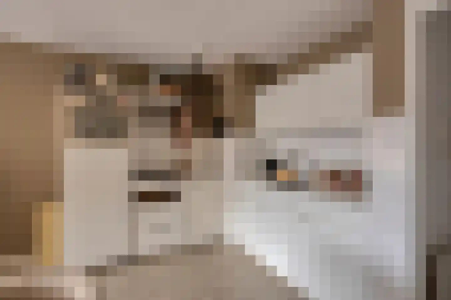 Markt 92 Panningen thumbnail 16