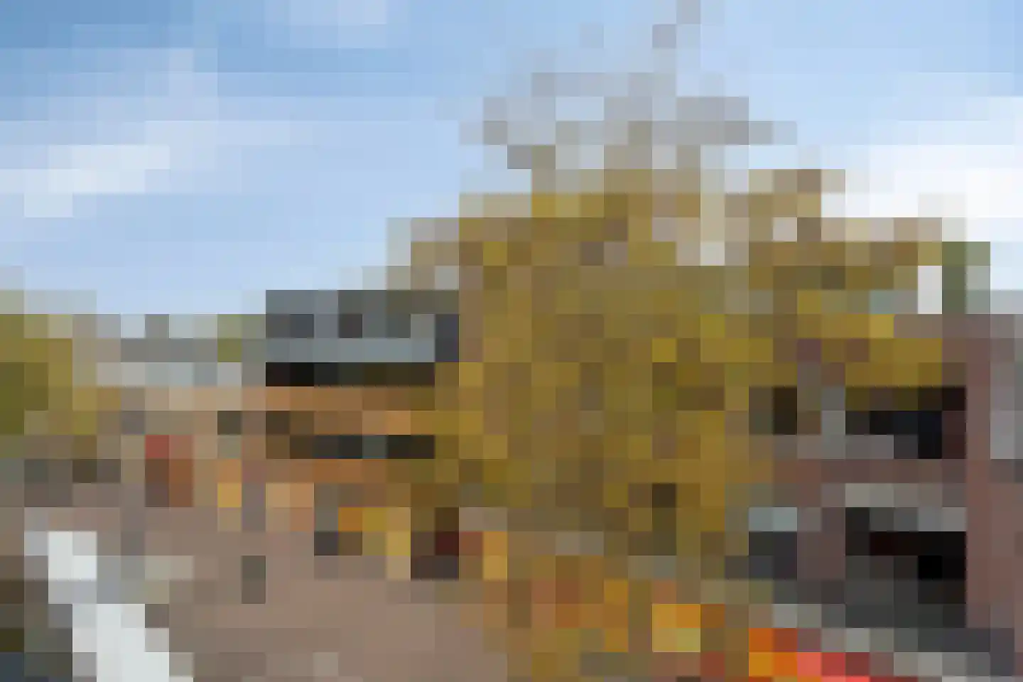 Markt 92 Panningen thumbnail 20