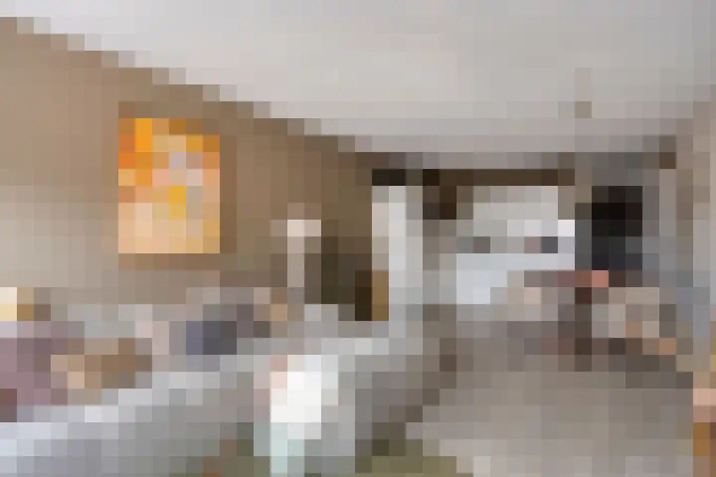 Markt 92 Panningen thumbnail 4
