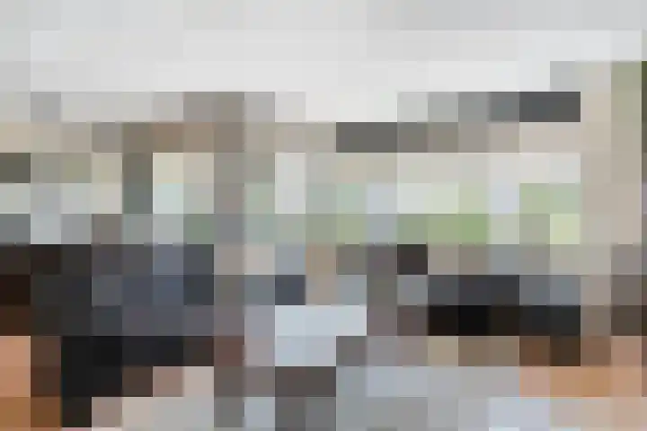 Markt 93 Dedemsvaart thumbnail 16