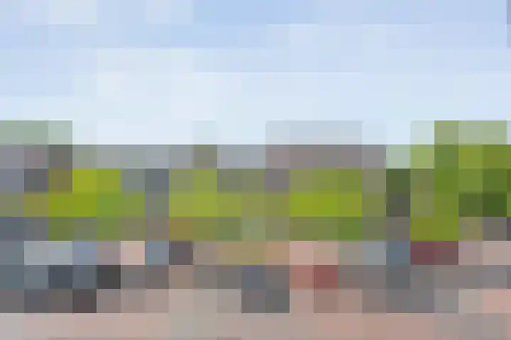 Markt 93 Dedemsvaart thumbnail 20