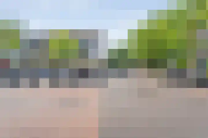 Markt 93 Dedemsvaart thumbnail 34
