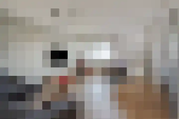 Markt 95 Uden thumbnail 5