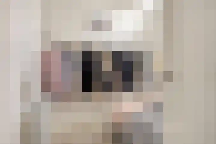 Marktgang 1 Kampen thumbnail 24