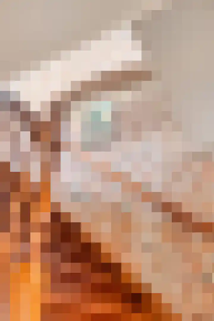 Marktgang 1 Kampen thumbnail 27