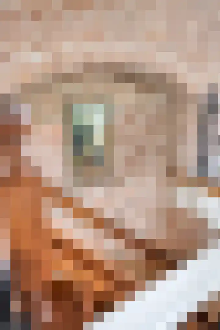 Marktgang 1 Kampen thumbnail 28