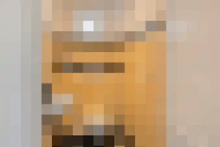 Marktgang 1 Kampen thumbnail 30