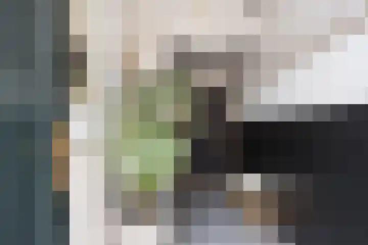 Marktgang 1 Kampen thumbnail 37