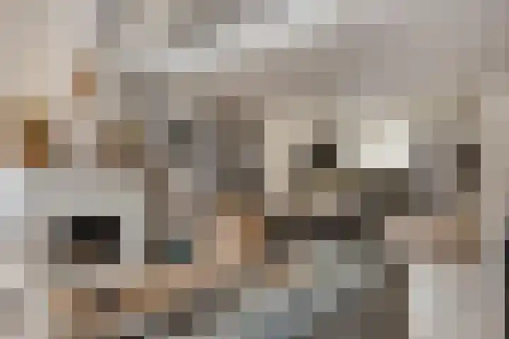 Marktgang 1 Kampen thumbnail 37