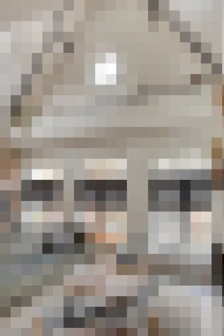 Marktgang 1 Kampen thumbnail 39